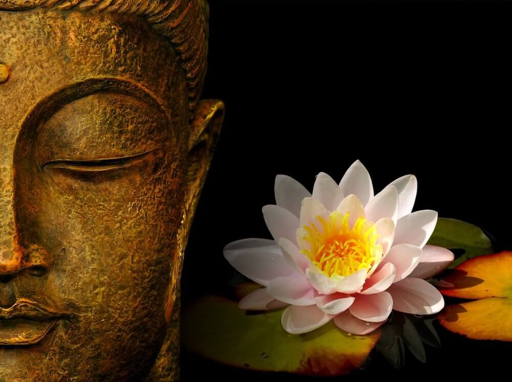 Ý nghĩa của hoa sen trong Phật Giáo