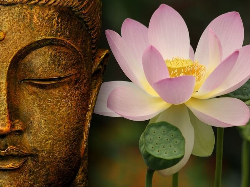 Trong Phật giáo, mối màu hoa sen lại có một ý nghĩa khác nhau