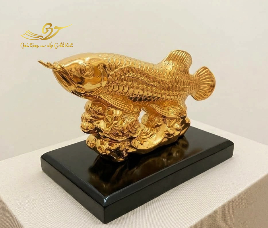 cá rồng 2