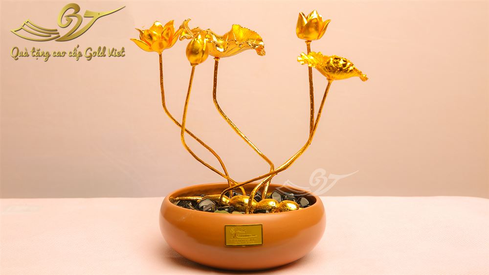 cây hoa sen mạ vàng kiểu 2 2